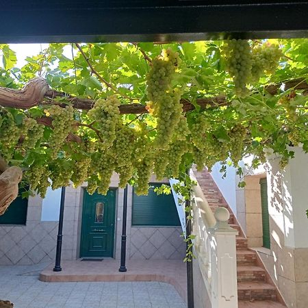 Casa Rural La Del Alba Seria Argamasilla de Alba Exterior foto