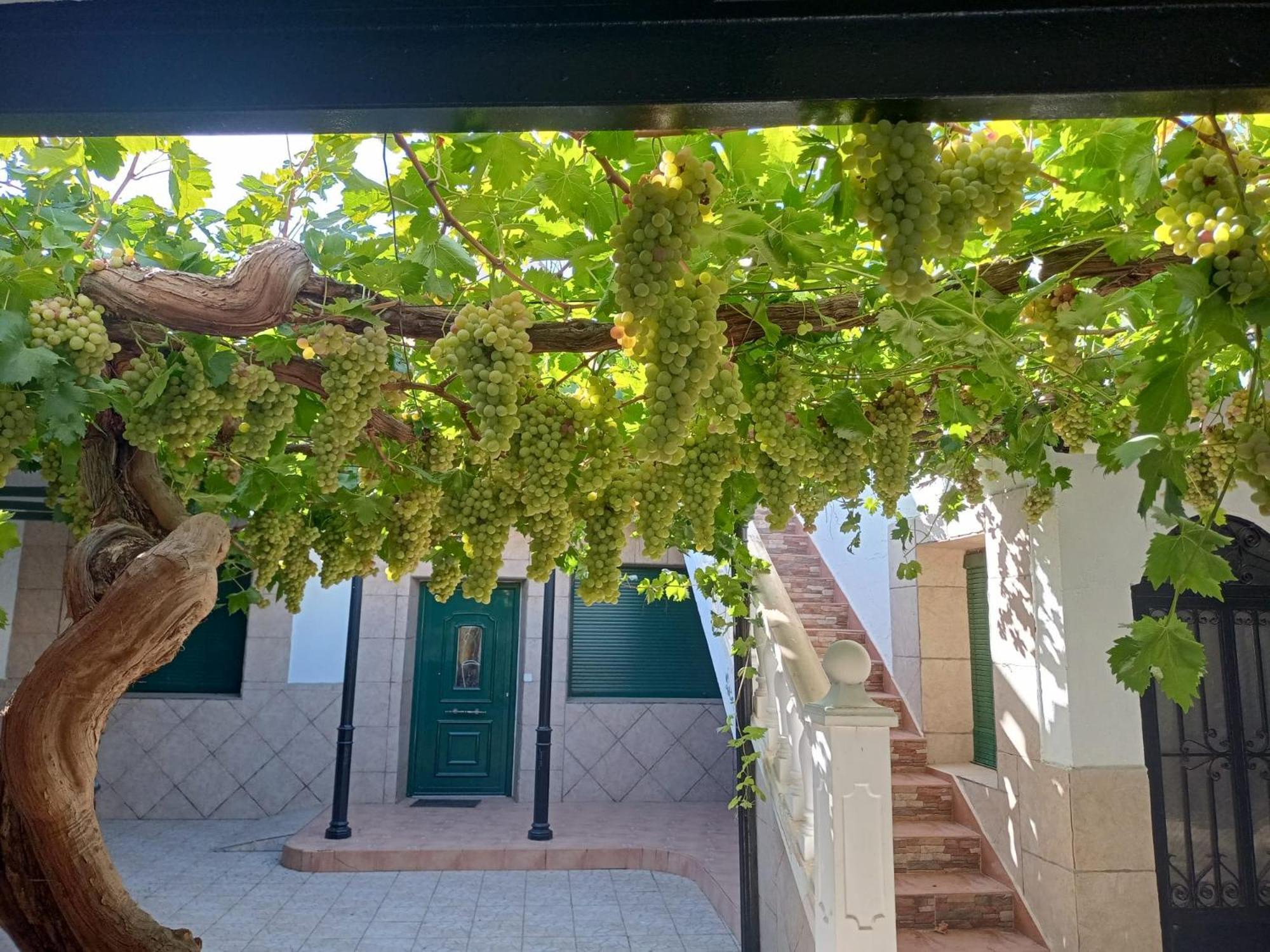 Casa Rural La Del Alba Seria Argamasilla de Alba Exterior foto